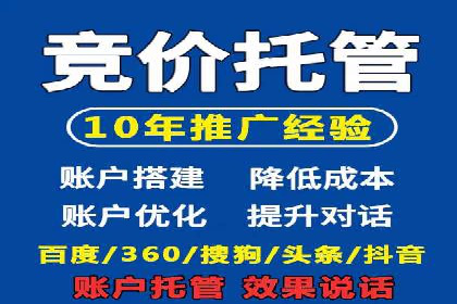 实战技巧：竞价推广案例解析与优化策略